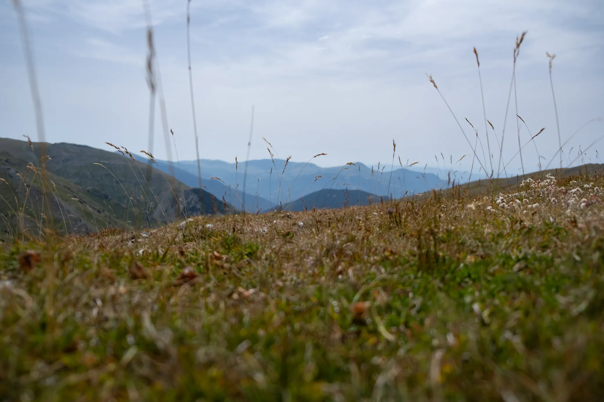 image 2 of Puig de Dòrria